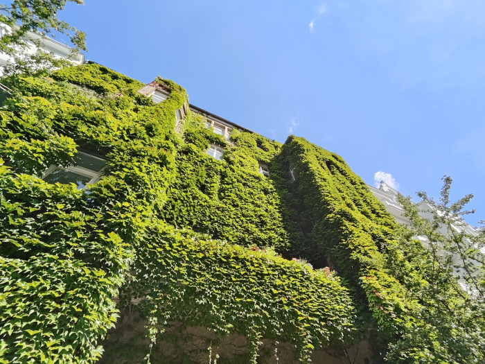 Ein mit dem Oneplus 10T gemachtes Bild (Bild: Tobias Költzsch/Golem.de)